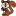 ci pi ri pi